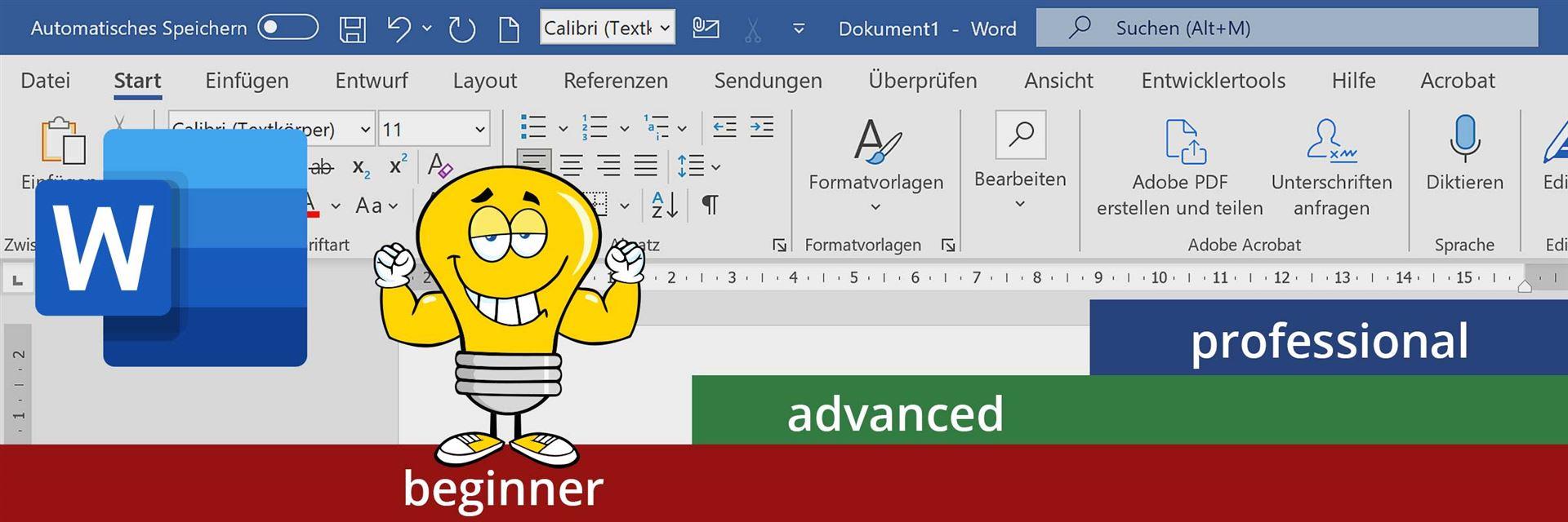 Bild Header, welches die Grundstufe für den Kurs Word zeigt